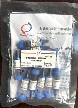 2×TBE尿素上樣緩沖液（用于尿素變性膠）